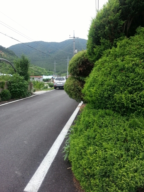 111-10.jpg