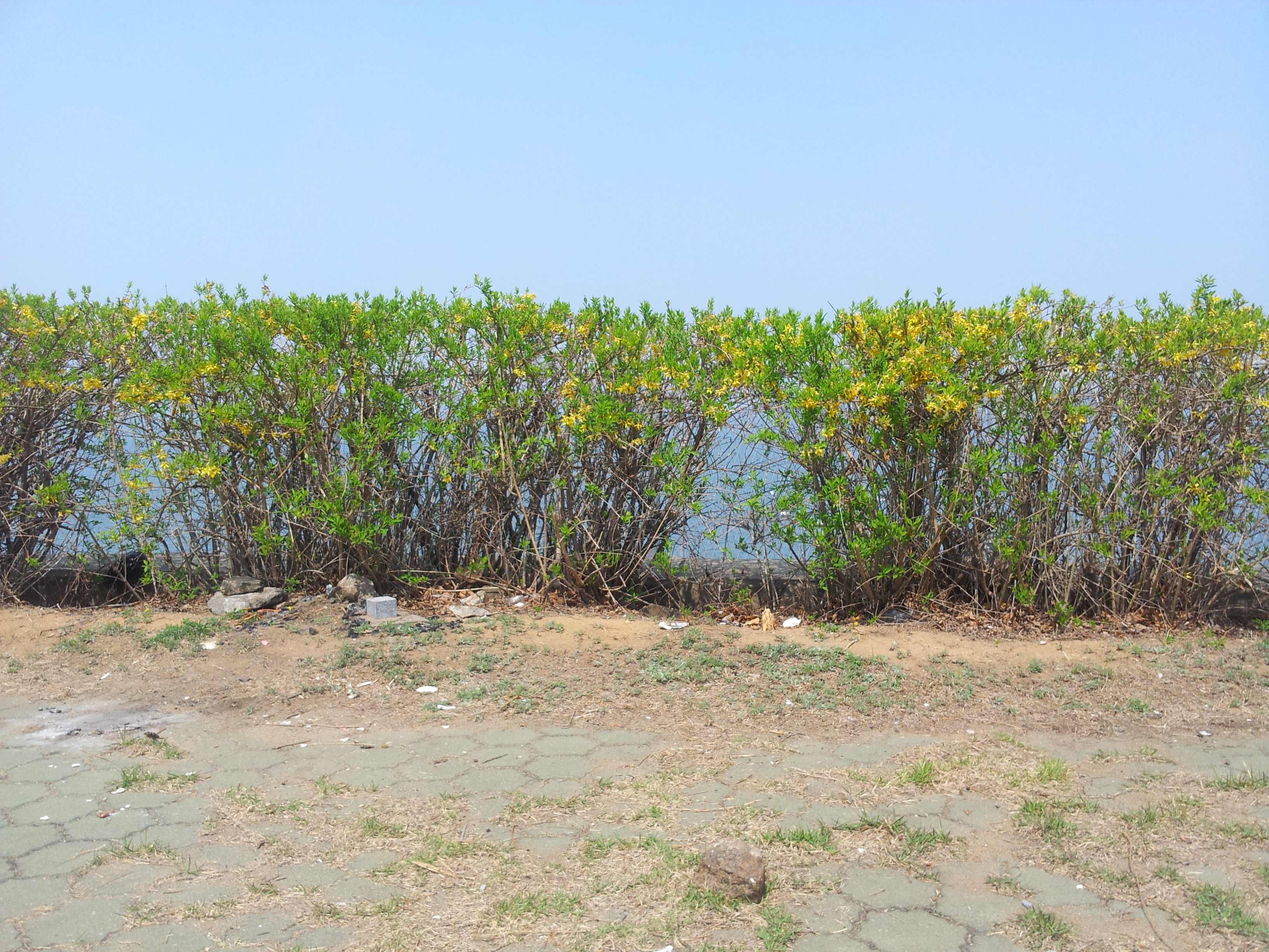 20140425_135803.jpg